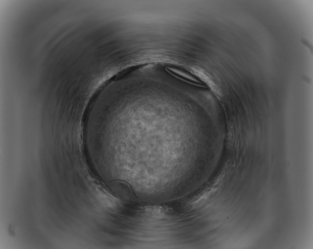 X0000091910439200709121520