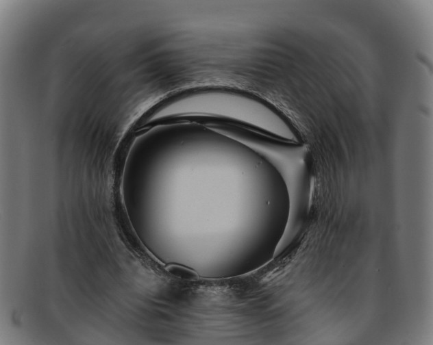 X0000091910440200709121520