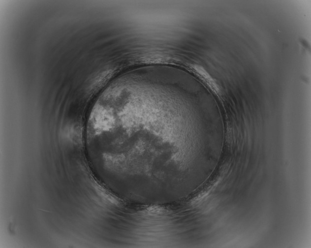 X0000091910441200709121520