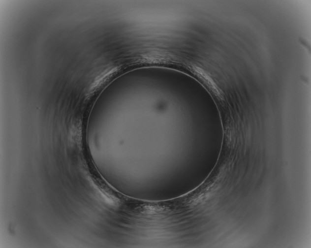 X0000091910442200709121520