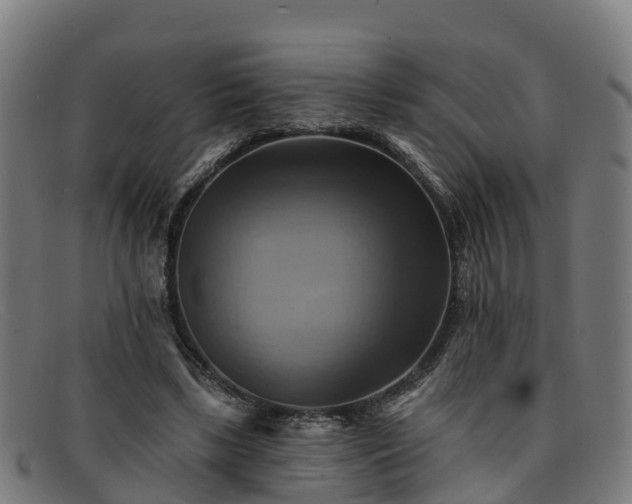 X0000091910443200709121520