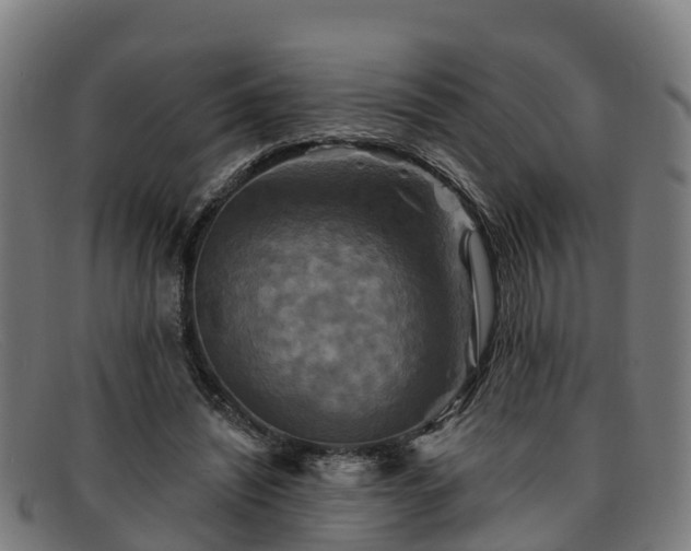 X0000091910444200709121520