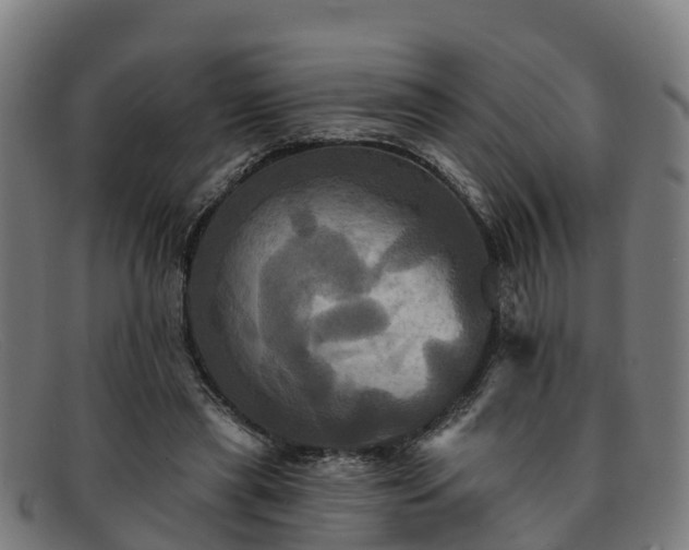 X0000091910445200709121520