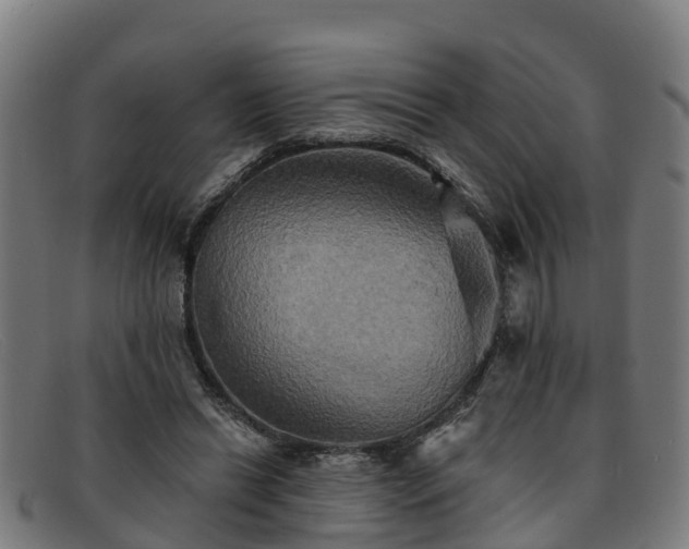 X0000091910446200709121520