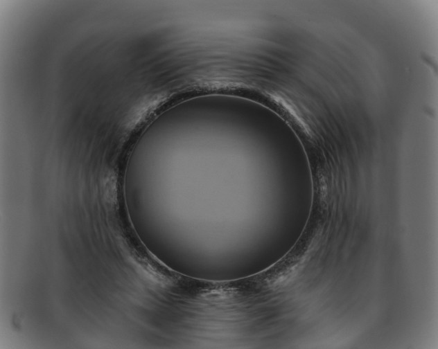 X0000091910447200709121520