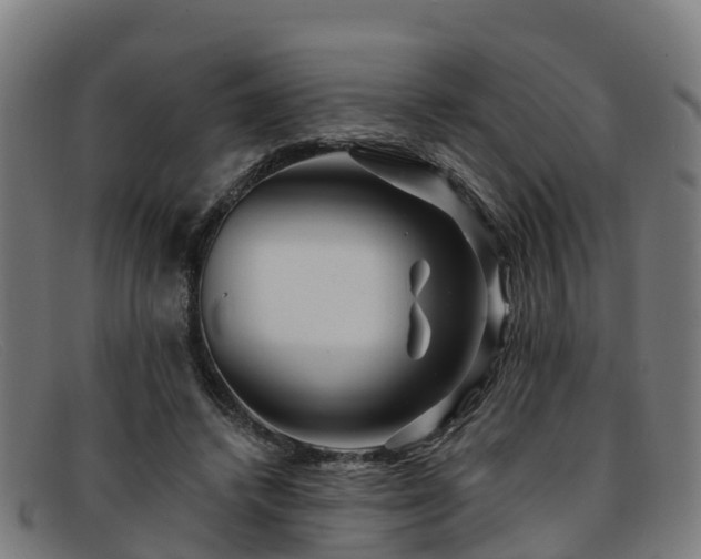 X0000091910448200709121520