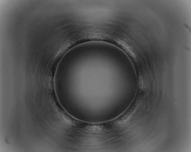 X0000091910449200709121520