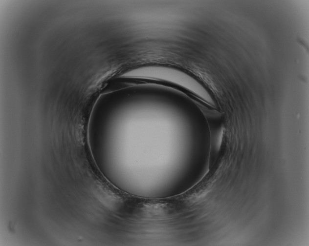 X0000091910450200709121520