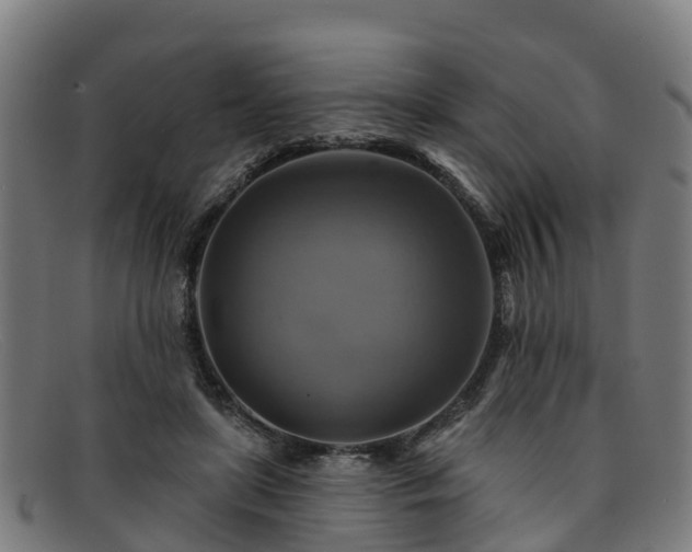 X0000091910451200709121520