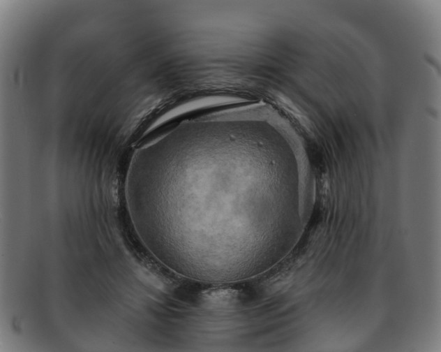 X0000091910452200709121520