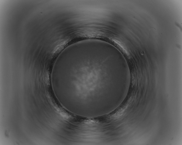 X0000091910453200709121520