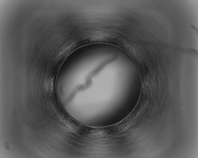 X0000091910454200709121520