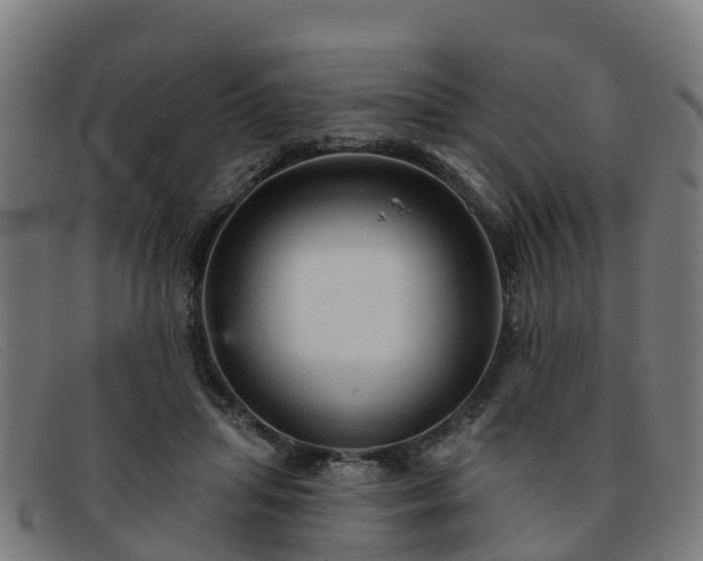 X0000091910455200709121520