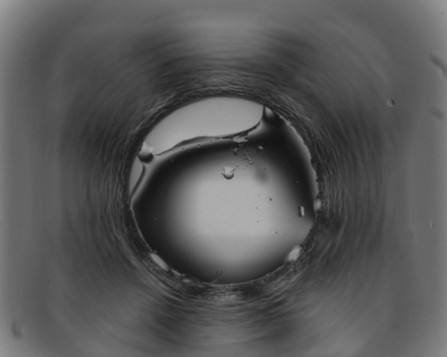 X0000091910456200709121520