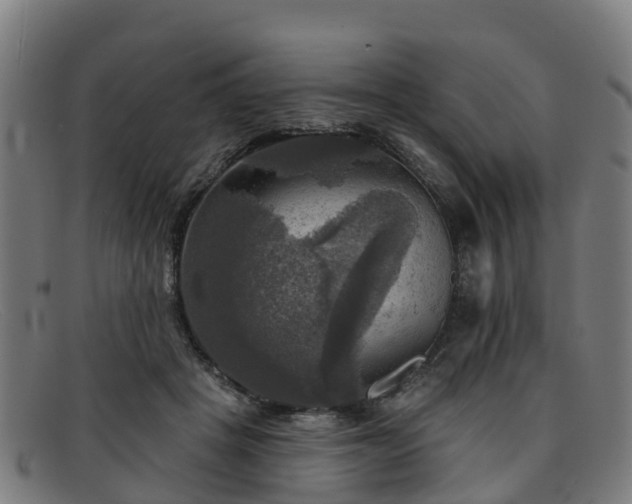 X0000091910457200709121520