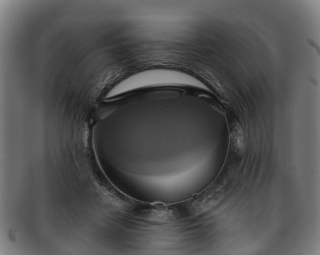 X0000091910458200709121520