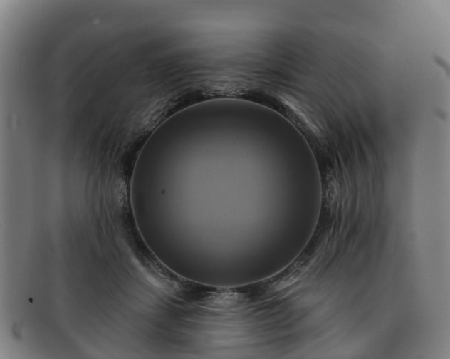 X0000091910459200709121520