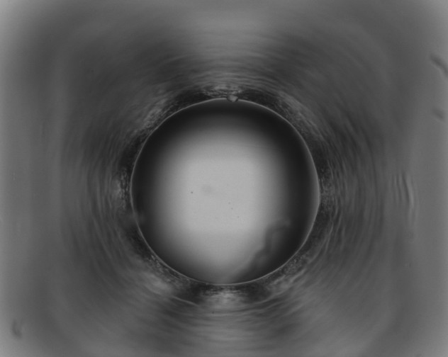 X0000091910460200709121520