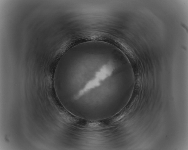 X0000091910461200709121520