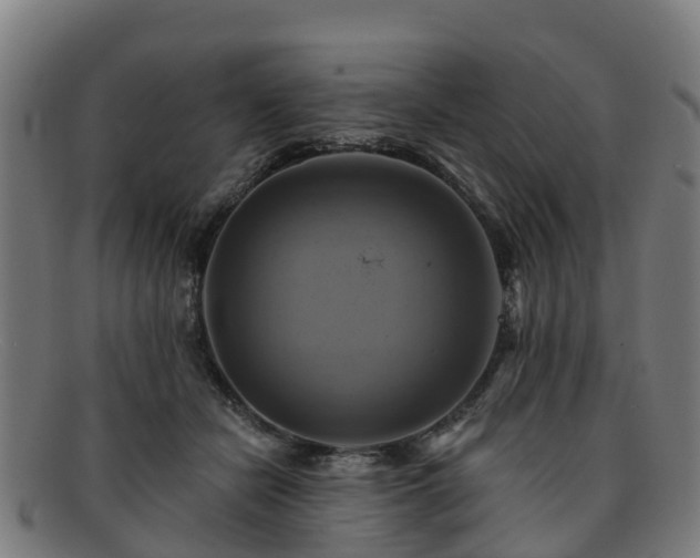 X0000091910462200709121520