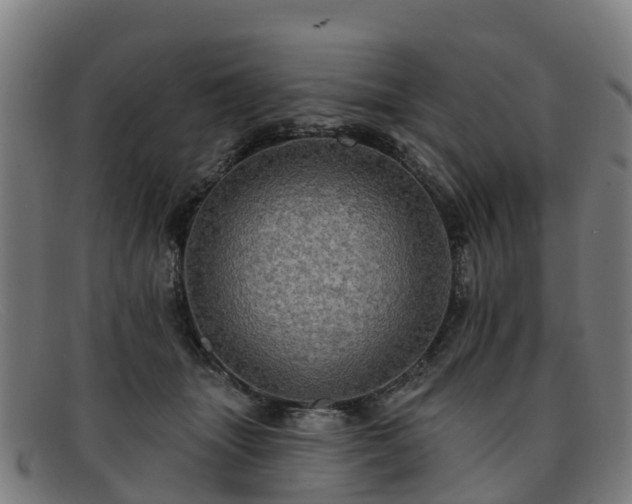 X0000091910463200709121521