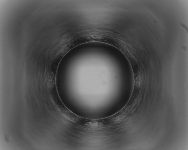 X0000091910464200709121521