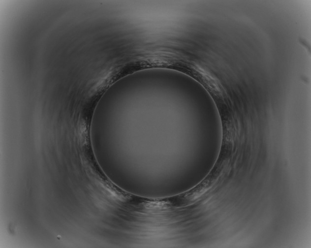 X0000091910465200709121521