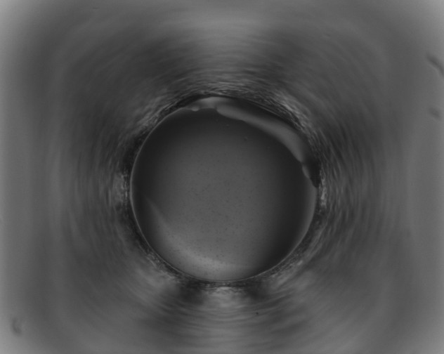 X0000091910467200709121521