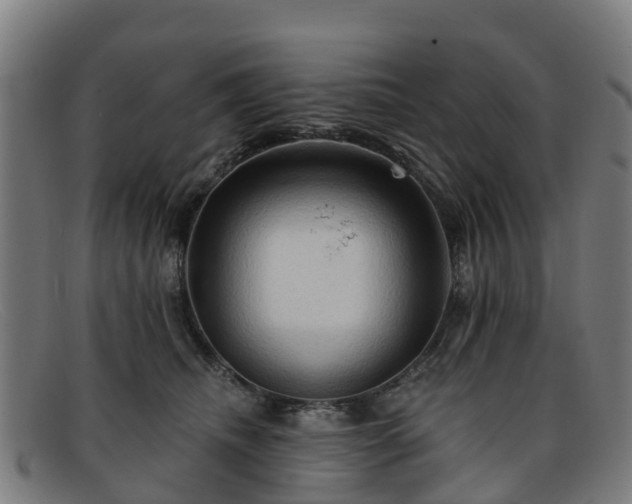 X0000091910468200709121521