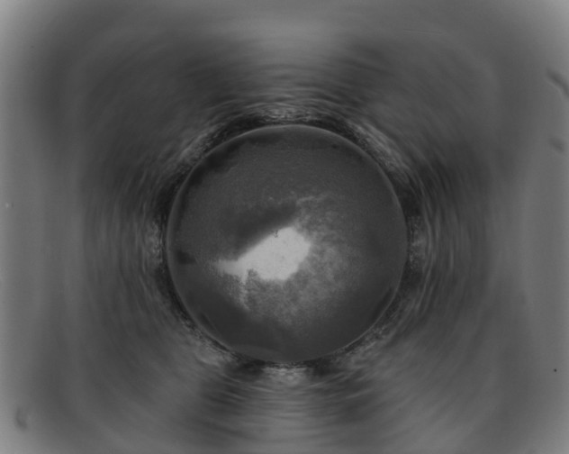 X0000091910469200709121521