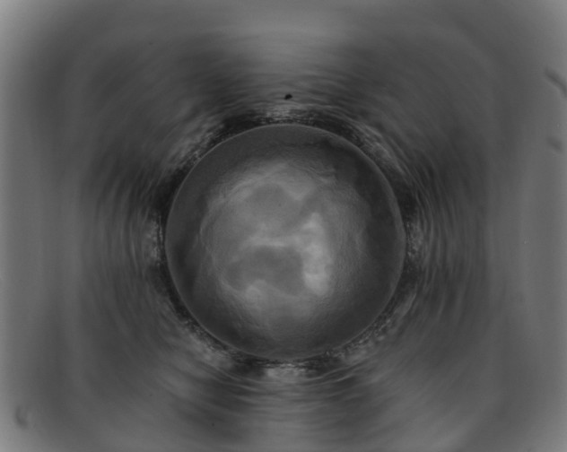 X0000091910470200709121521