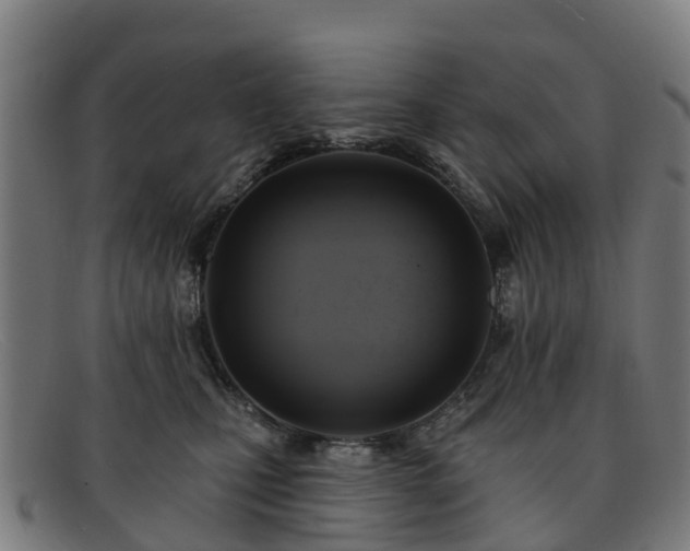 X0000091910471200709121521