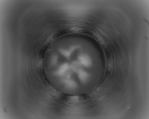 X0000091910473200709121521