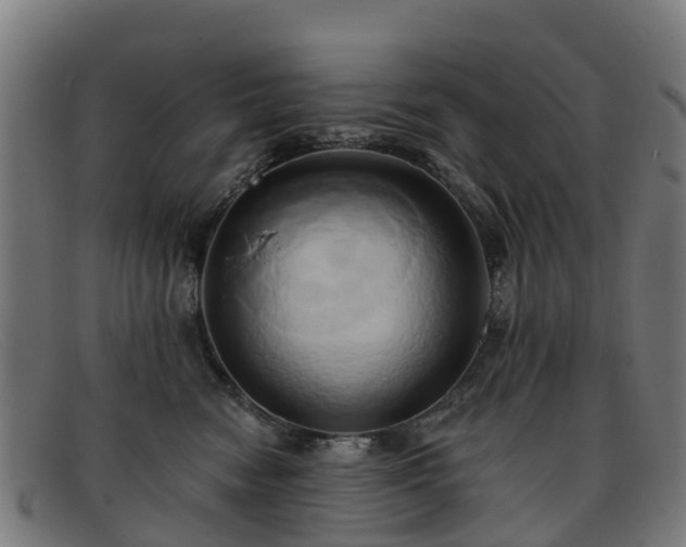 X0000091910474200709121521