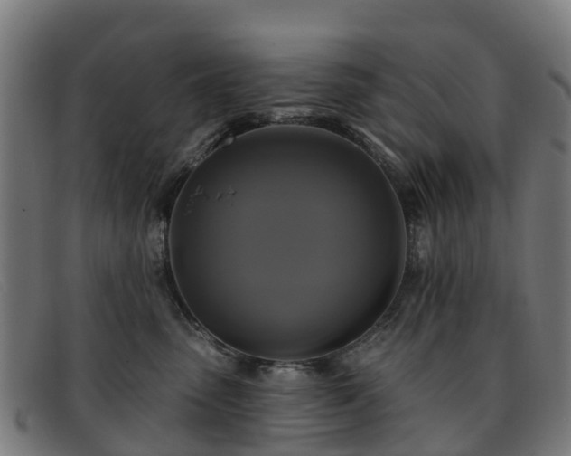 X0000091910475200709121521