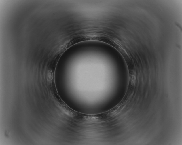 X0000091910476200709121521