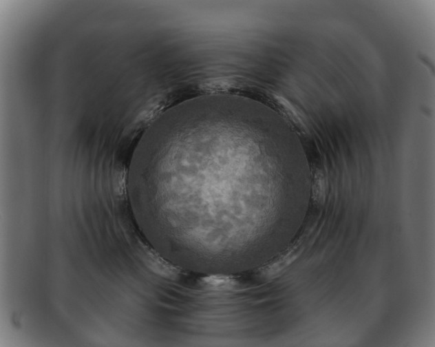 X0000091910477200709121521