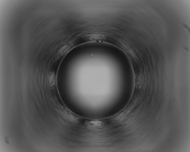 X0000091910478200709121521