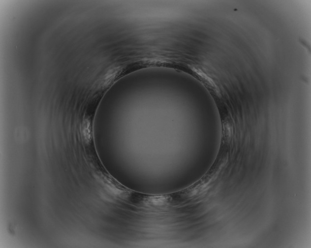 X0000091910479200709121521