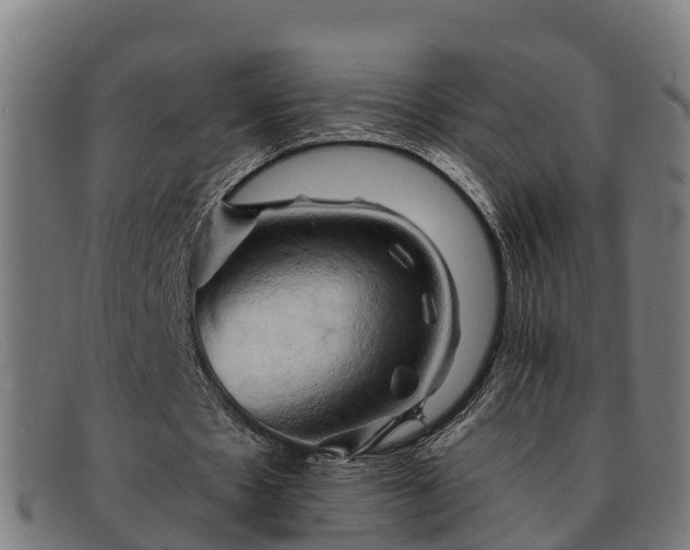 X0000091910481200709121520