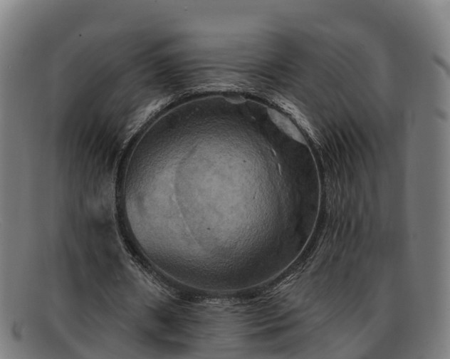 X0000091910482200709121520