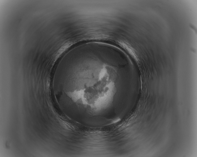 X0000091910483200709121520