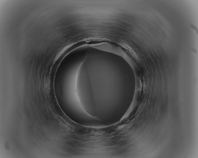 X0000091910484200709121520