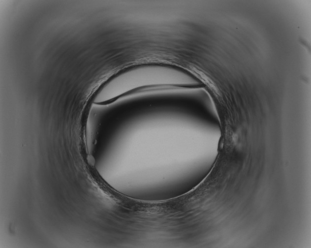 X0000091910485200709121520