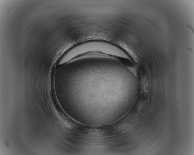 X0000091910486200709121520