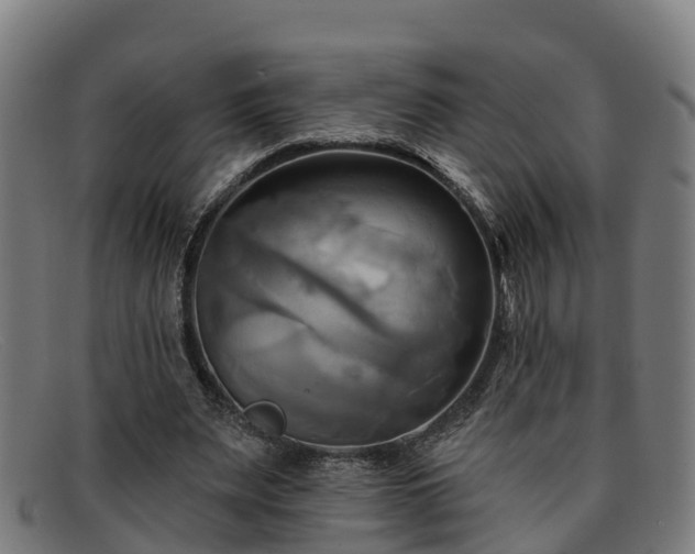 X0000091910487200709121520