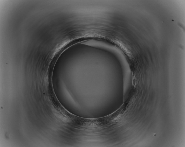 X0000091910488200709121520