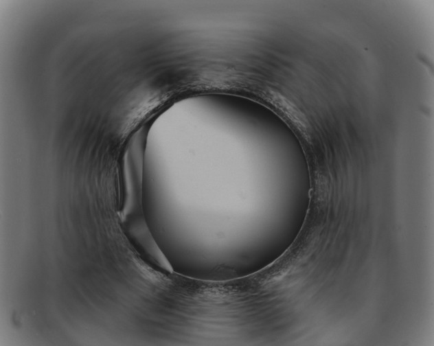 X0000091910489200709121520