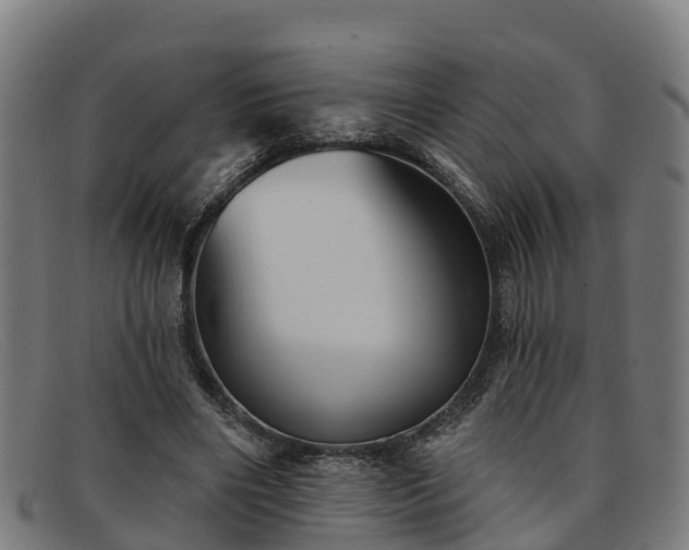 X0000091910490200709121520