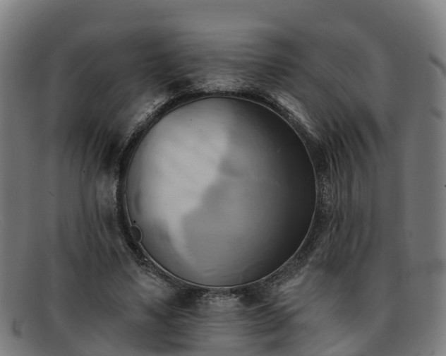 X0000091910491200709121520